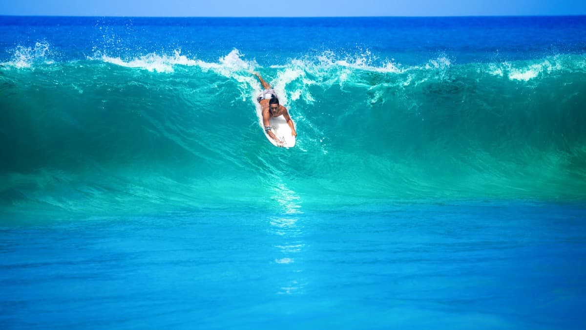 Surf